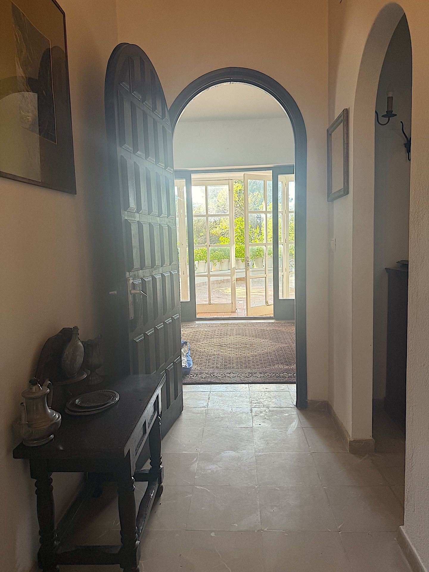 Resa Estates for sale te koop project Cala Tarida Ibiza pool hallway.jpeg